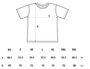 
                  
                    Load image into Gallery viewer, UNISEX PREMIUM HEAVYWEIGHT T-SHIRT -  EP38
                  
                